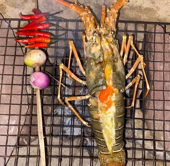 膳宿费 Simple Life Bungalows