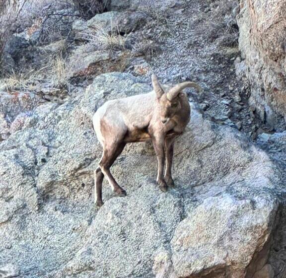 بنسيون Ute Bluff Lodge, Cabins And Rv Park