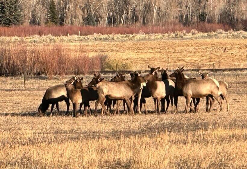 بنسيون Ute Bluff Lodge, Cabins And Rv Park