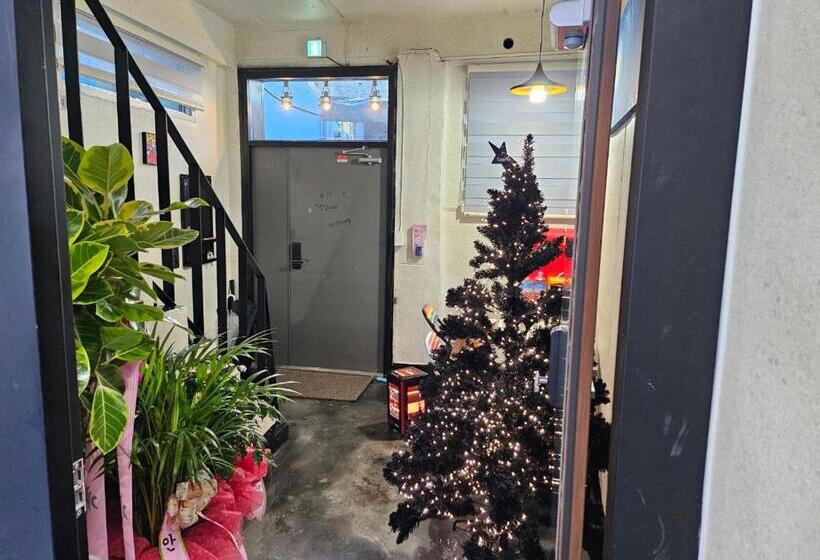 بنسيون Young House