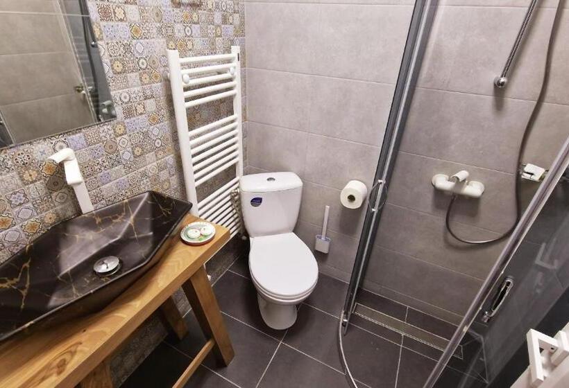 Pensiunea Pink House Runcu