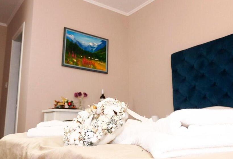 Pensiunea Pink House Runcu