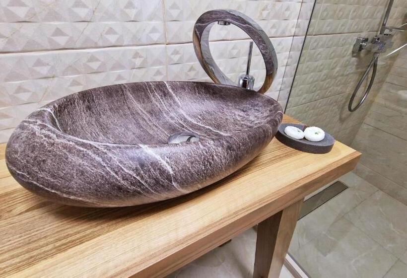 Pensiunea Pink House Runcu