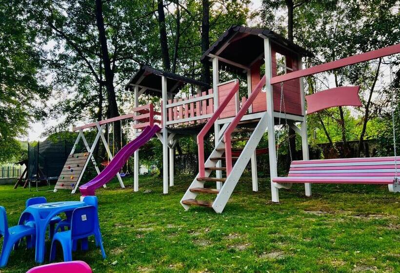 Pensiunea Pink House Runcu