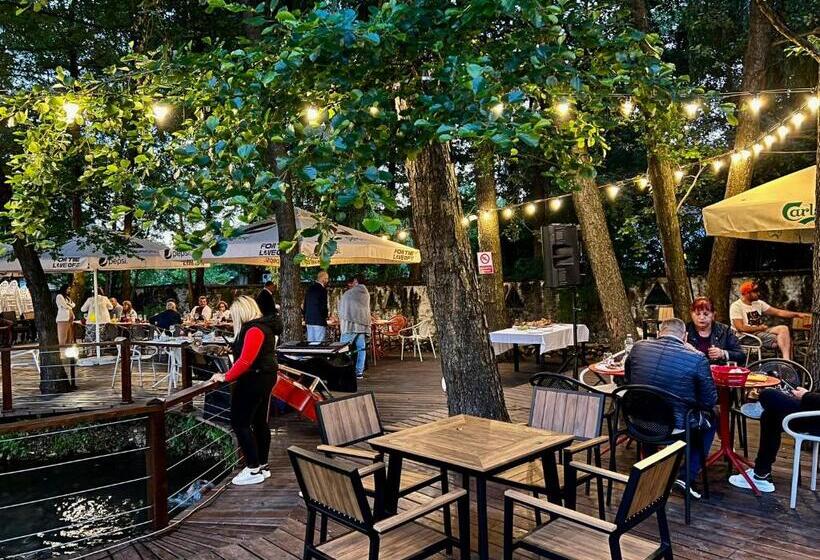 Pensiunea Pink House Runcu