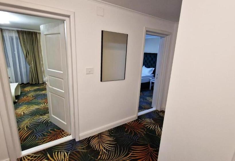 Pensiunea Pink House Runcu