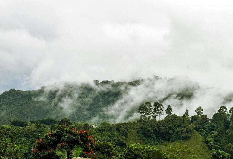 فندق صغير Hostal Café Racer