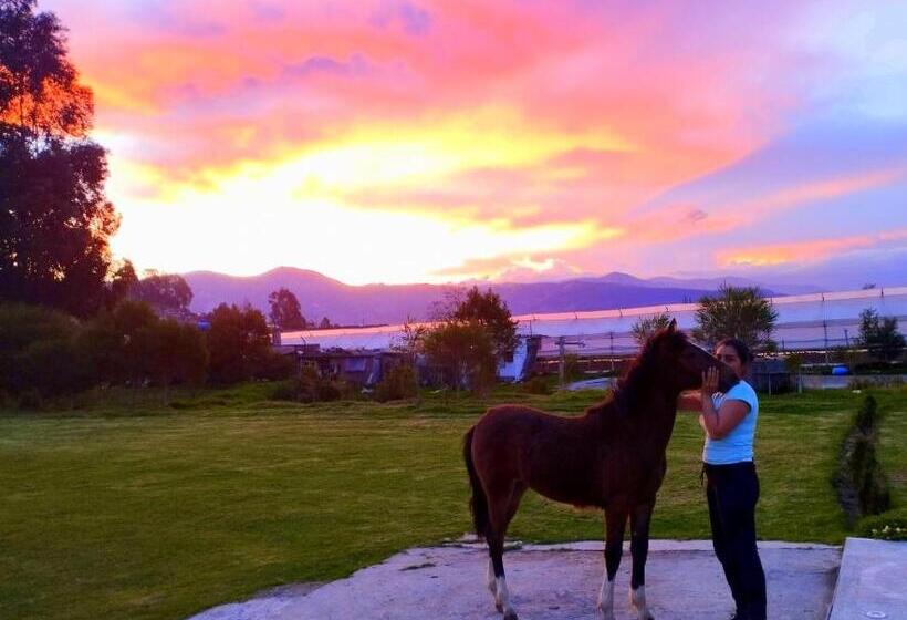 هاستل Hostería Quinta Inés María