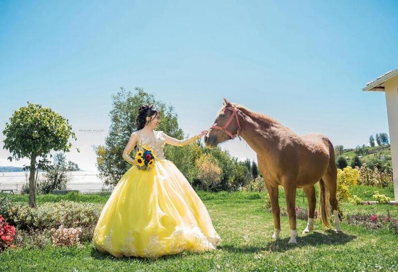 فندق صغير Hostería Quinta Inés María
