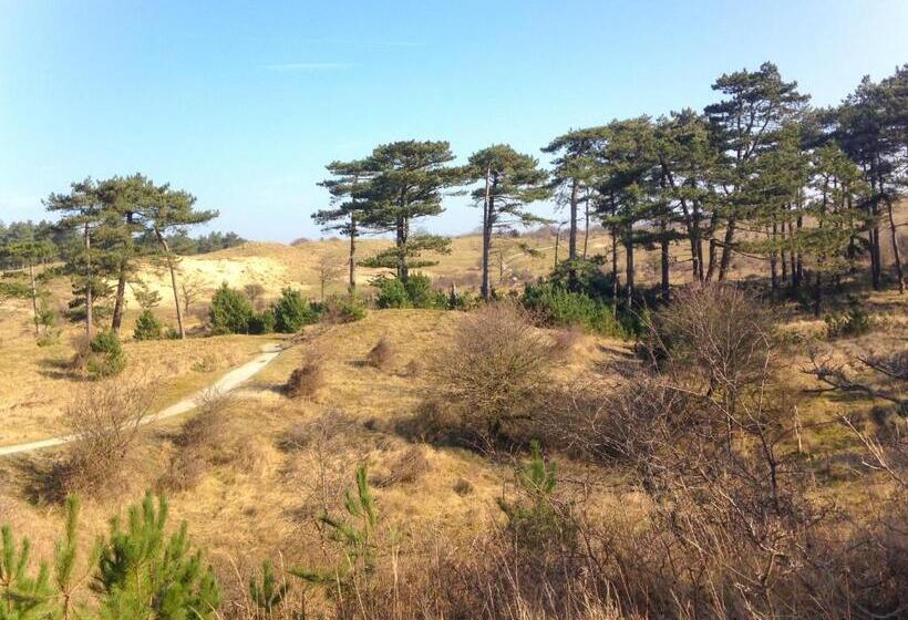 B&b Noordzee Kerstdeco Sauna Strand7km Kennemerduinen
