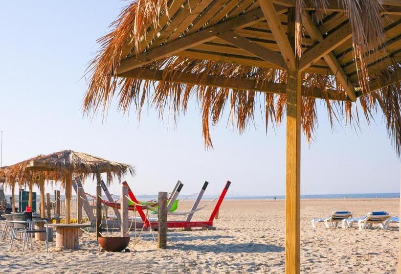 B&b Noordzee Kerstdeco Sauna Strand7km Kennemerduinen