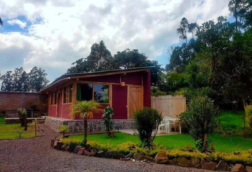 Bed and Breakfast Arie S Cabin