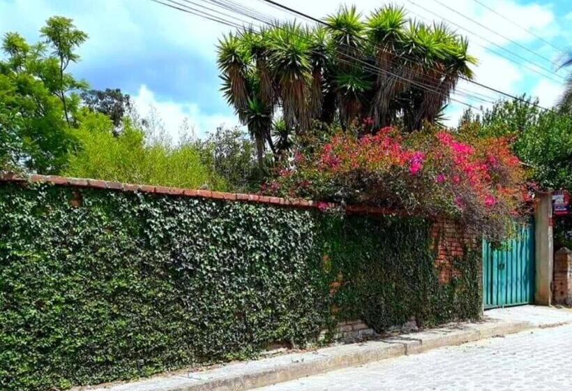 Bed and Breakfast Arie S Cabin