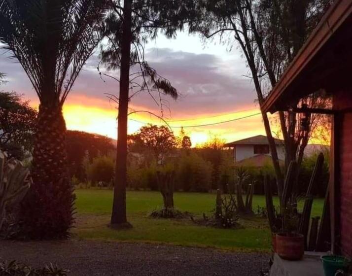 Bed and Breakfast Arie S Cabin