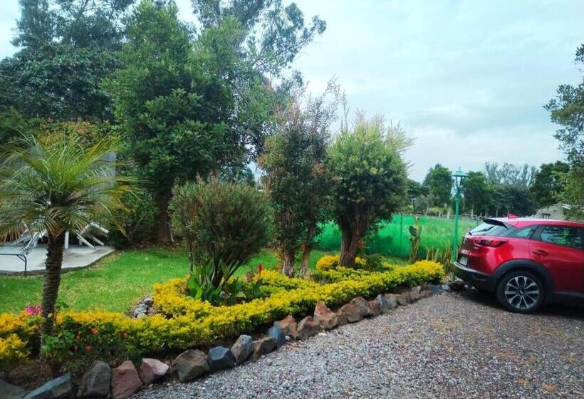 Bed and Breakfast Arie S Cabin