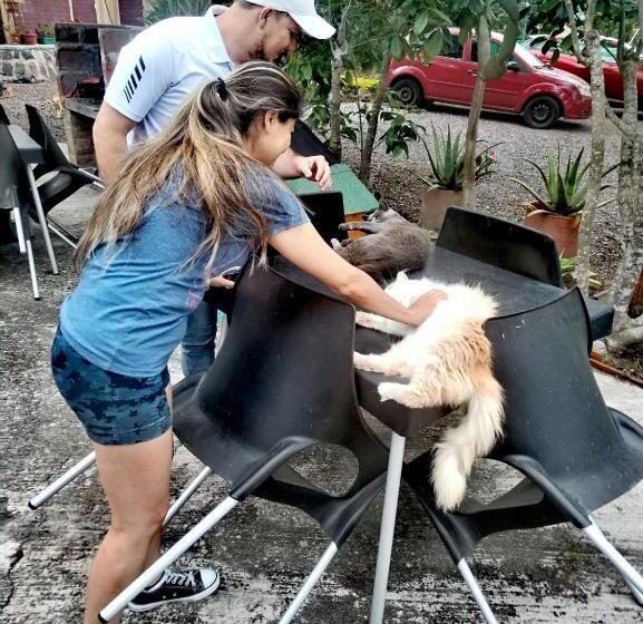 Bed and Breakfast Arie S Cabin