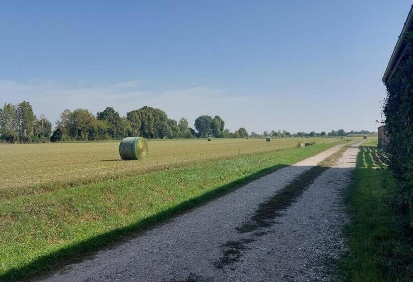 ベッドアンドブレックファースト Canovetta Country House Camelia   Nearby Cremona