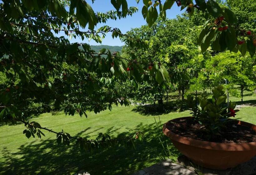 مبيت وإفطار Casino Del Monaco