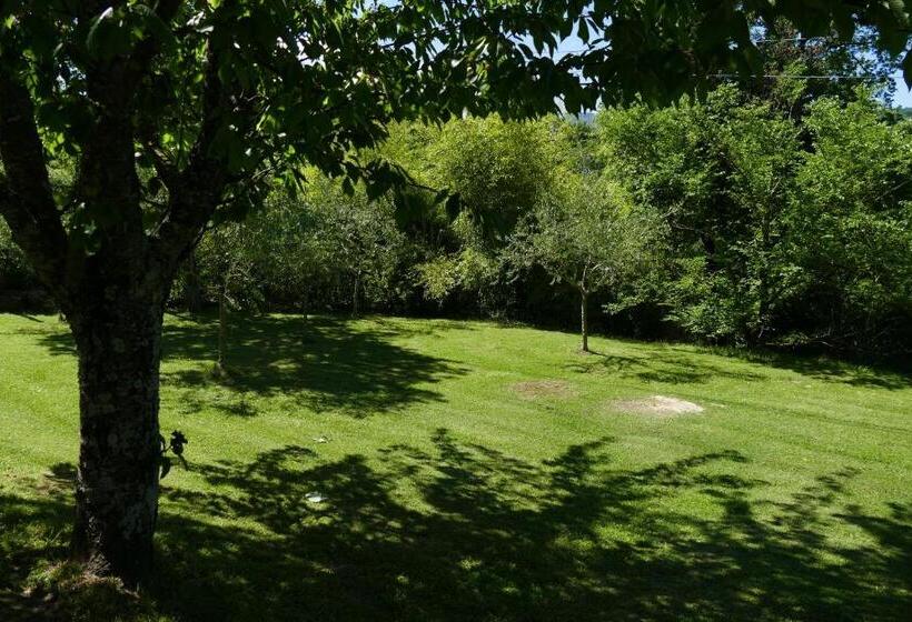 مبيت وإفطار Casino Del Monaco