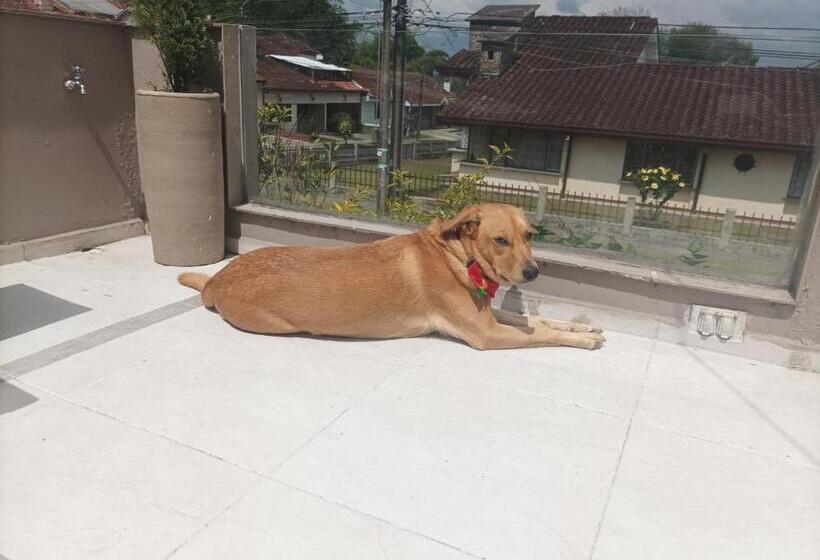 Bed and Breakfast Conforta Rentals & Spa