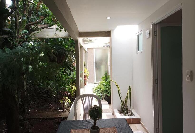 Bed and Breakfast Conforta Rentals & Spa