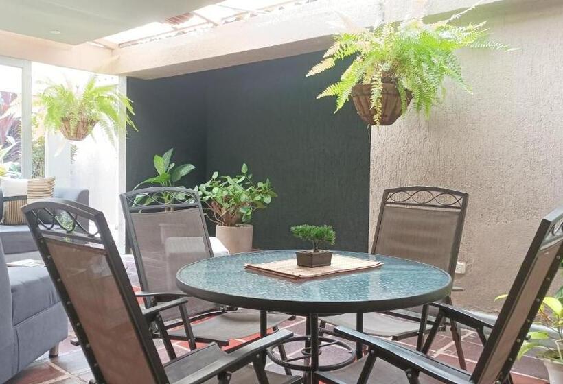 Bed and Breakfast Conforta Rentals & Spa