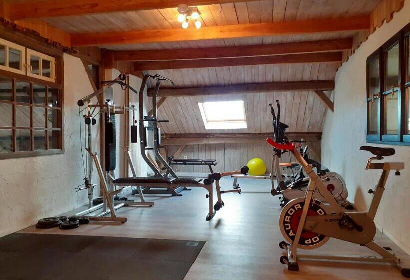 Bed and Breakfast De Patuljak