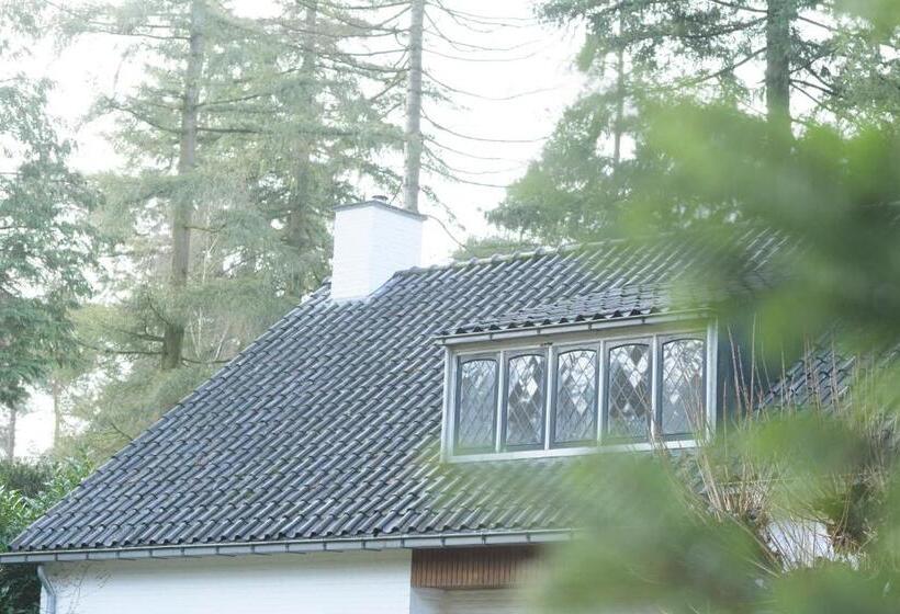 مبيت وإفطار Huishotel Bed Bij Bort