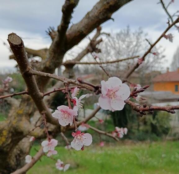 住宿加早餐  Il Giramondo