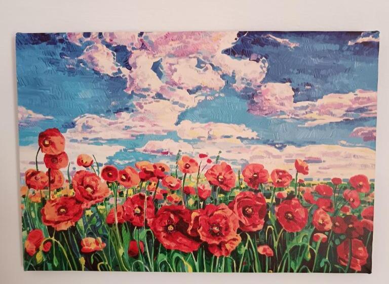 住宿加早餐  Il Giramondo