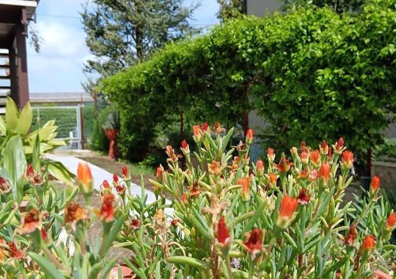 住宿加早餐  Il Giramondo