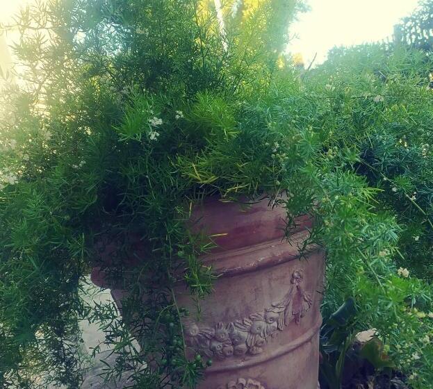 住宿加早餐  Il Giramondo