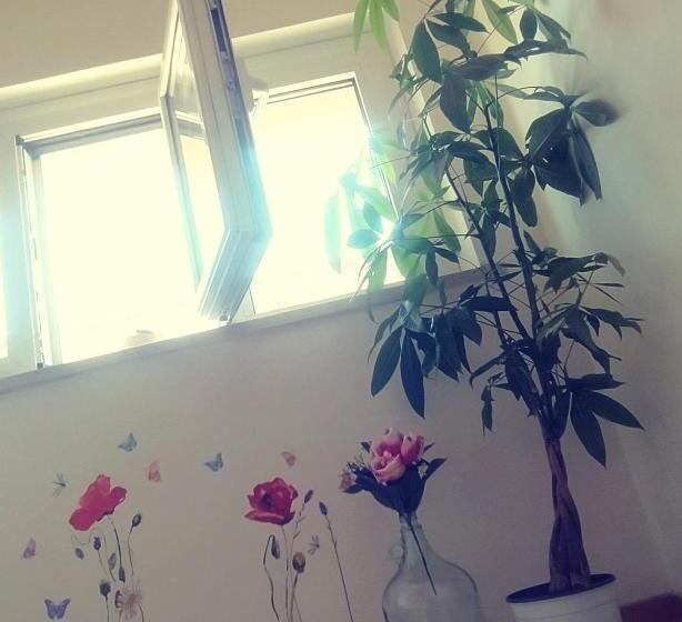 住宿加早餐  Il Giramondo