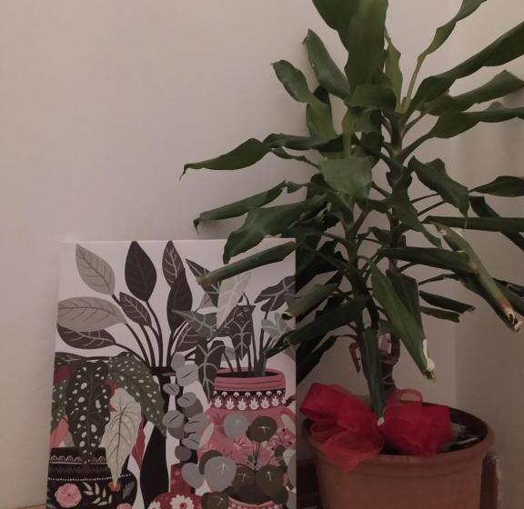 住宿加早餐  Il Giramondo