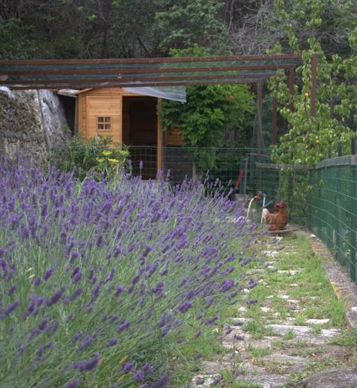 تختخواب و صبحانه Villa Mafalda