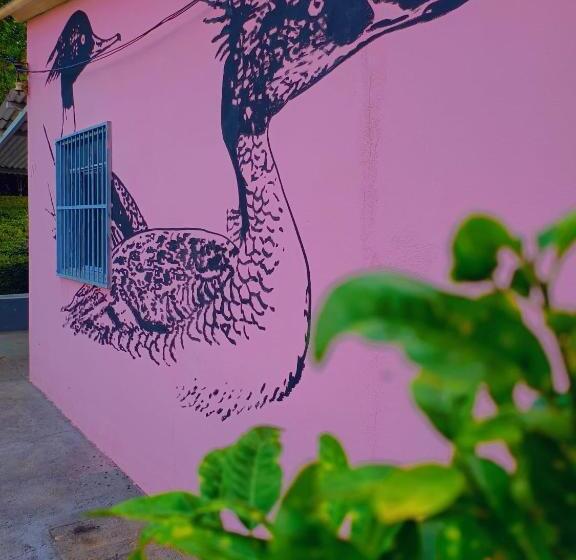 Canastra Hostel E Camping   Quartos