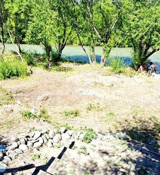 Hostel,dormis Y Camping Costa Bolsón