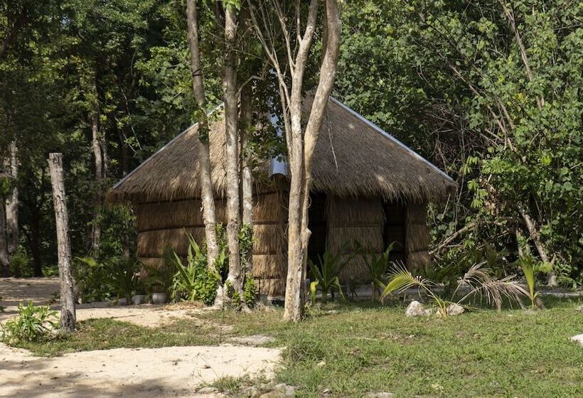 Отель Coral Bay Resort