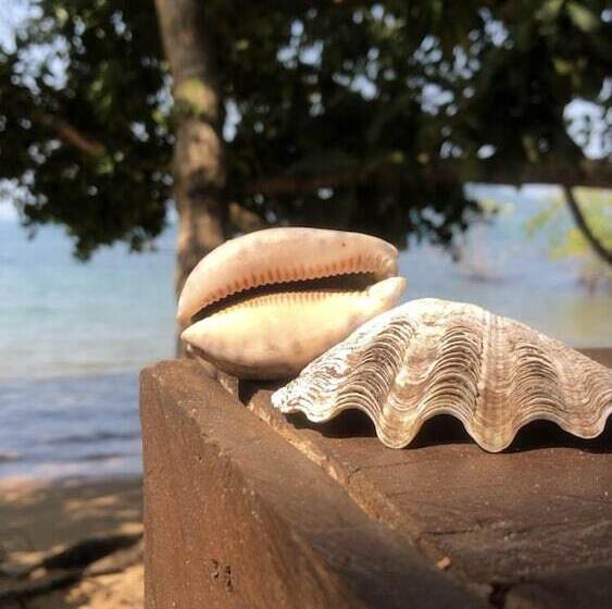 Отель Coral Bay Resort