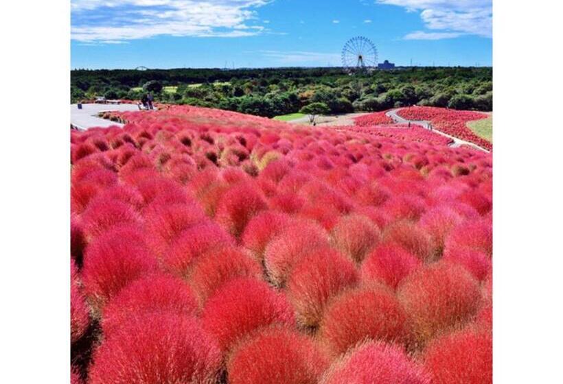 فندق Crystal Palace   Vacation Stay 61200v