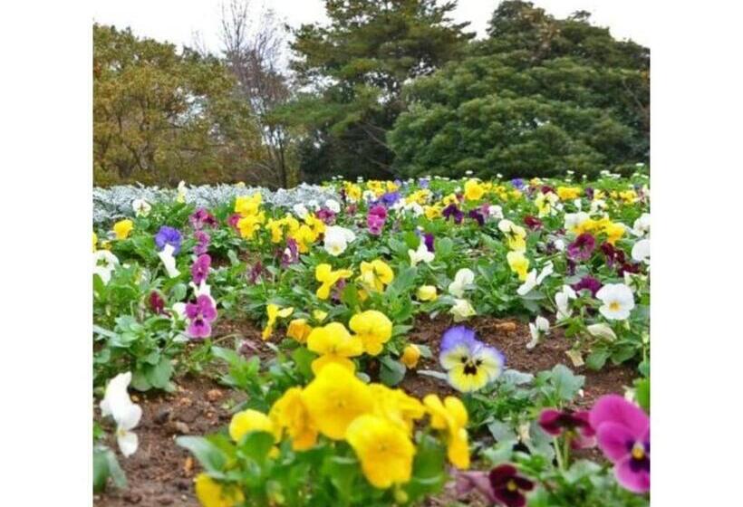 בית מלון כפרי Crystal Palace   Vacation Stay 61203v