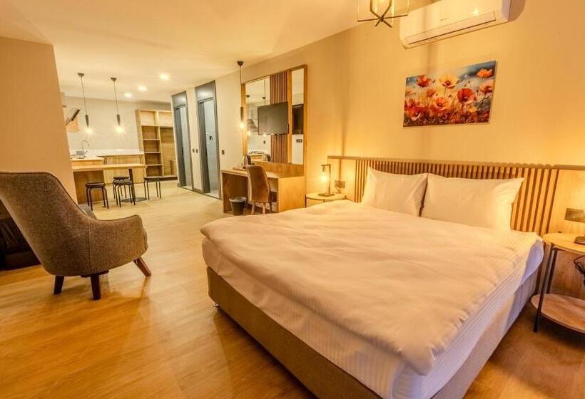 酒店 Leli̇ko Suites