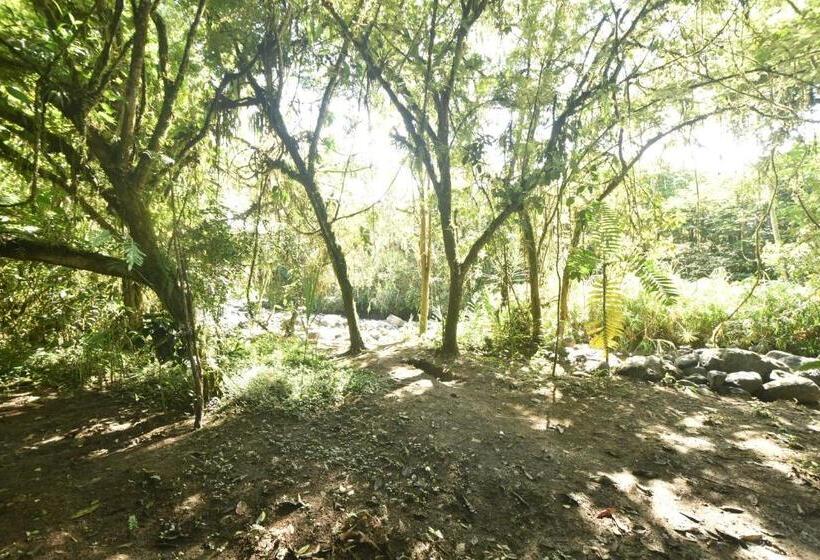 Отель Mindo Monasterium