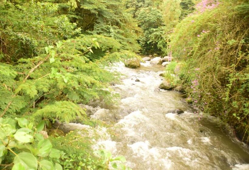 Отель Mindo Monasterium