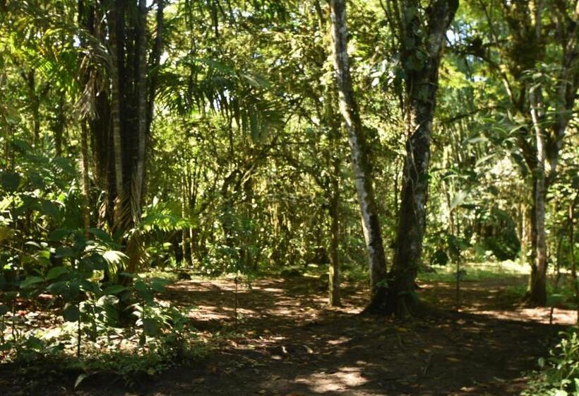 Отель Mindo Monasterium