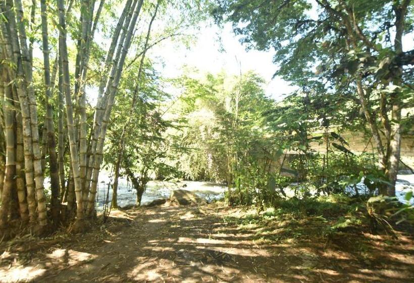 Отель Mindo Monasterium