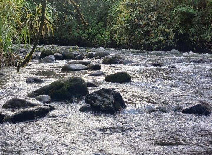 Отель Mindo Monasterium