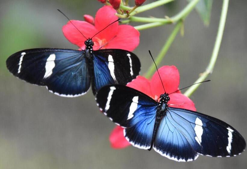 Отель Mindo Monasterium