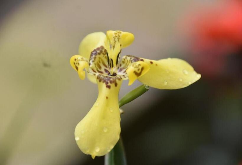 Отель Mindo Monasterium