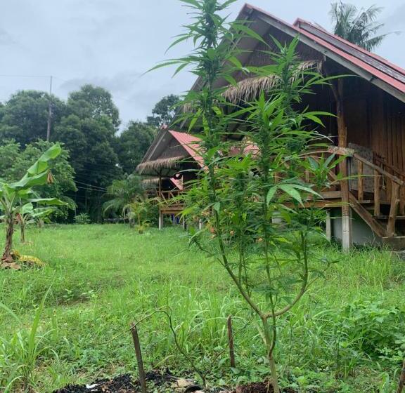 호텔 Seree Bungalows